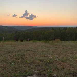 Meet your Posher, Miriam